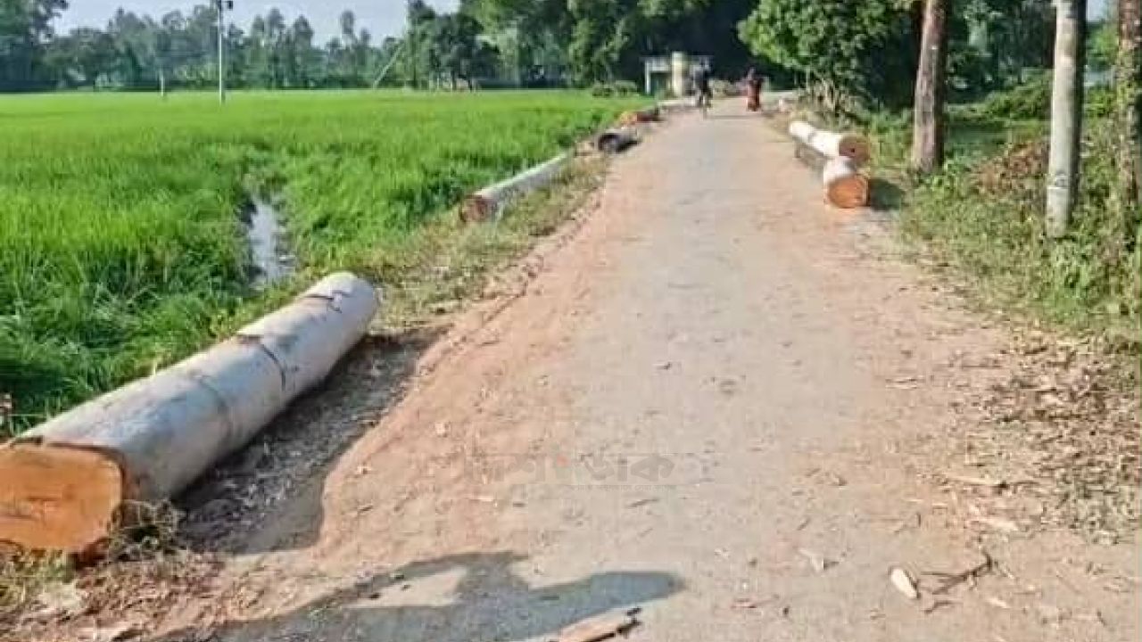 ফুলবাড়ীতে ব্যক্তিগত গাছ কাটতেও ইউনিয়ন পরিষদ কে দিতে হয় কমিশন!